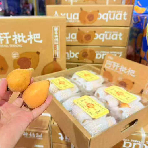 【居家必备树上熟枇杷】川宝鲜枇杷，家中常备，全家人都需要的水果 商品图5