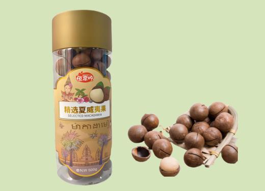 广西崇左龙州县恒享吃夏威夷果 商品图0