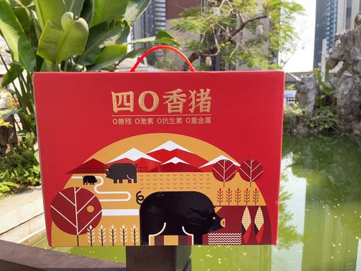 【阿克苏优选】新疆藏香猪猪肉礼盒 商品图0