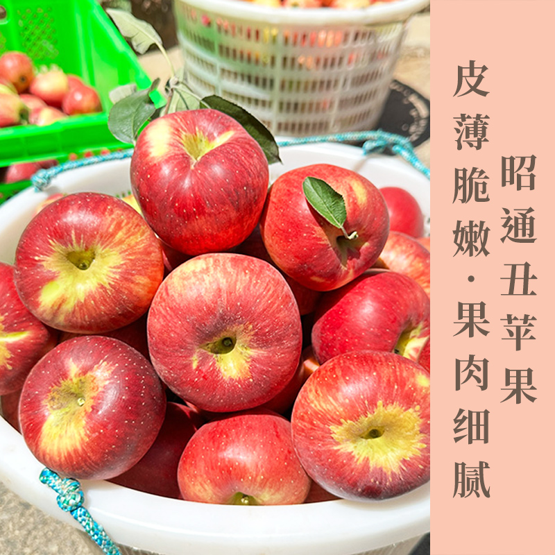 云南昭通丑苹果  汁水丰富  酸甜清脆   不催熟 不打腊 坚持原生态种植  口感 脆爽多汁每一口都是浓郁的幸福，天然造就好味道！