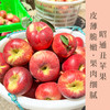 云南昭通丑苹果  汁水丰富  酸甜清脆   不催熟 不打腊 坚持原生态种植  口感 脆爽多汁每一口都是浓郁的幸福，天然造就好味道！ 商品缩略图0