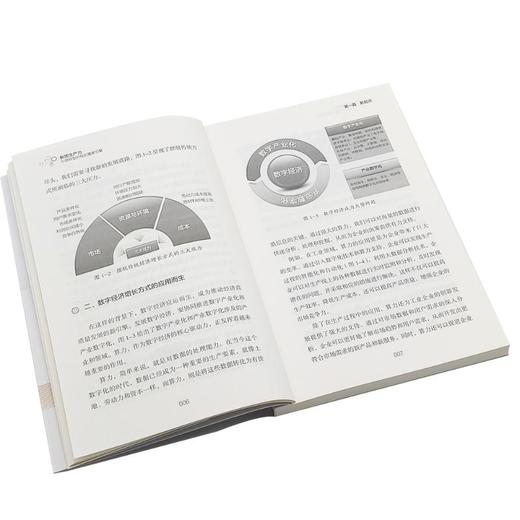 新质生产力:引领转型升级的重要引擎 商品图1