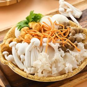 菌类汤锅拼盘 480g/份
