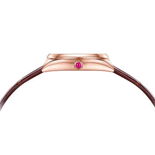 【新品尝鲜】飞亚达四叶草系列石英女表L862035.PFK 商品图7