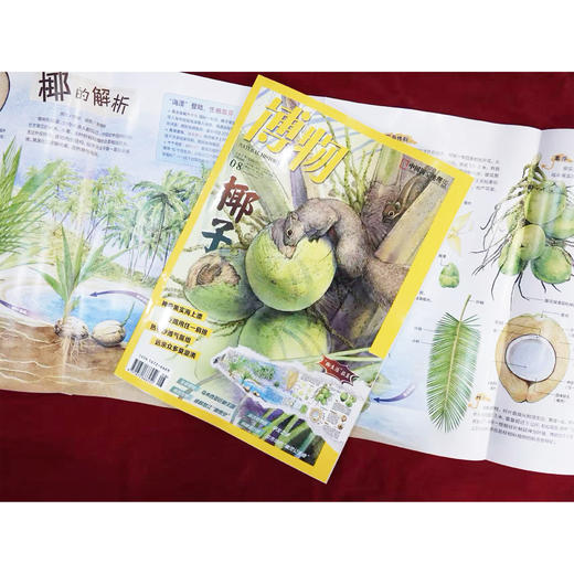 《博物》 2026年12期征订  商品图3