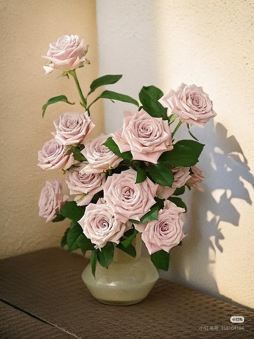 景都曼塔A 商品图1