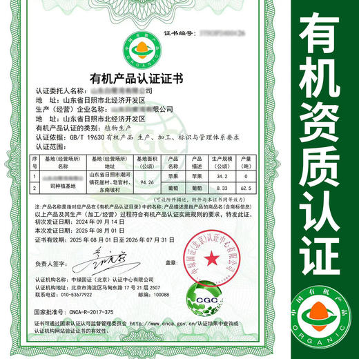 【厂商直发】有机王林苹果清脆多汁果肉清甜细腻现摘新鲜包邮 商品图1