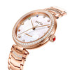 飞亚达心弦系列机械女表LA869013.PWPH 商品缩略图1
