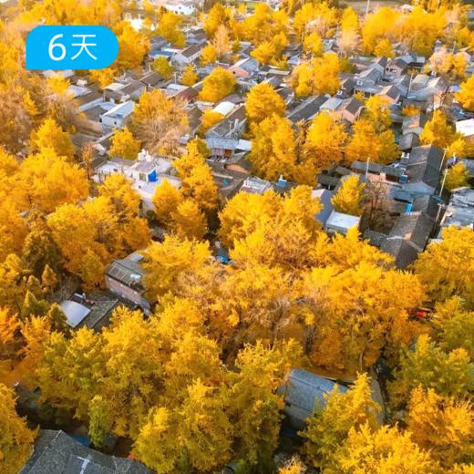 金秋限定·滇西南 赏秋漫游 | 腾冲银杏温泉 芒市瑞丽边境 精品小团6日 商品图0