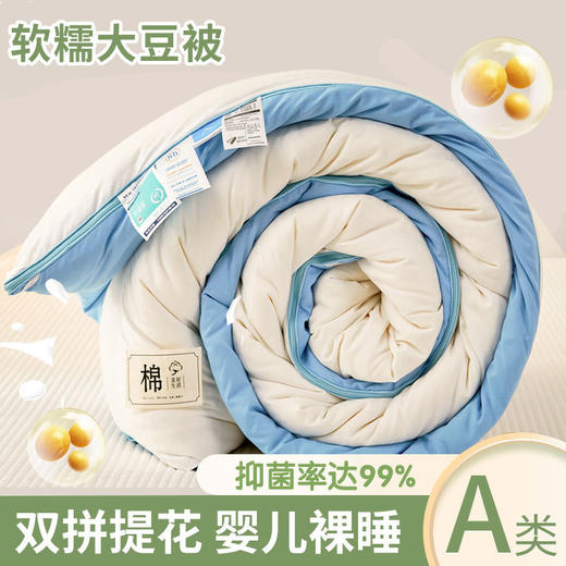 【抗菌除螨！原棉大豆被！】A类母婴抗菌原棉大豆纤维被子 加厚保暖被冬被芯 学生春秋棉被 商品图14