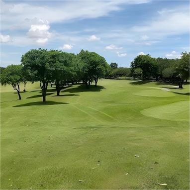 芭提雅·芭塔维亚世纪高尔夫俱乐部 Pattavia Century Golf Club ｜芭提雅高尔夫球场 | 泰国高尔夫球场俱乐部 商品图4