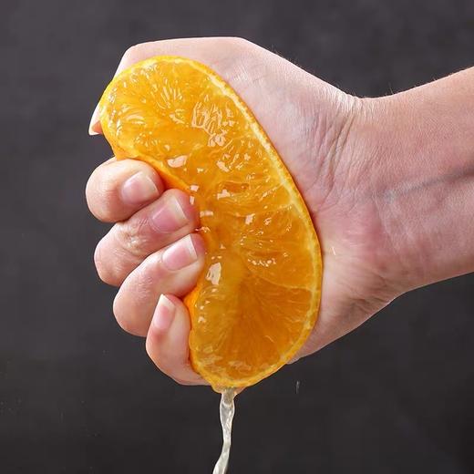 爱媛果冻橙 180g+/个 大果75-80 果实饱满皮薄果大坏果包赔 商品图1