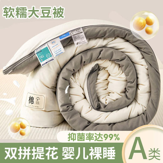 【抗菌除螨！原棉大豆被！】A类母婴抗菌原棉大豆纤维被子 加厚保暖被冬被芯 学生春秋棉被 商品图13
