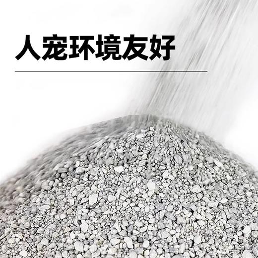 艾尔钠基矿石膨润土猫沙4.5kg 商品图1