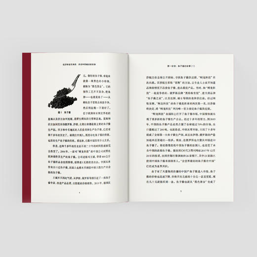 《经济学家的来信：讲述中国崛起的故事》 商品图11