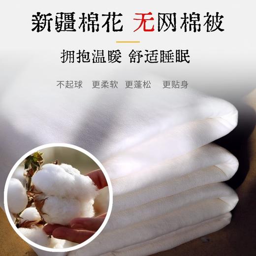 新疆拾花者·无网棉被   商品图0
