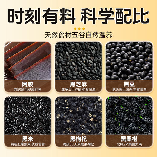 仲景阿胶五黑粉代餐早晚餐冲饮黑芝麻黑枸杞黑桑葚黑豆 商品图3