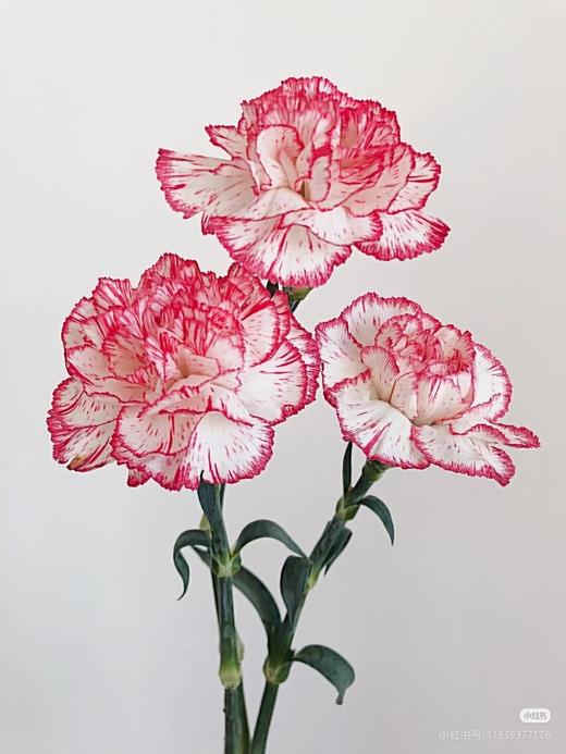 伊人康 商品图0