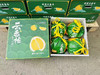 云香柚，文旦柚每一口都是满足
"保'柚'平安，保甜不酸。" 这句文案强调了云香柚的甜度和安全性，让人放心享用。 商品缩略图11
