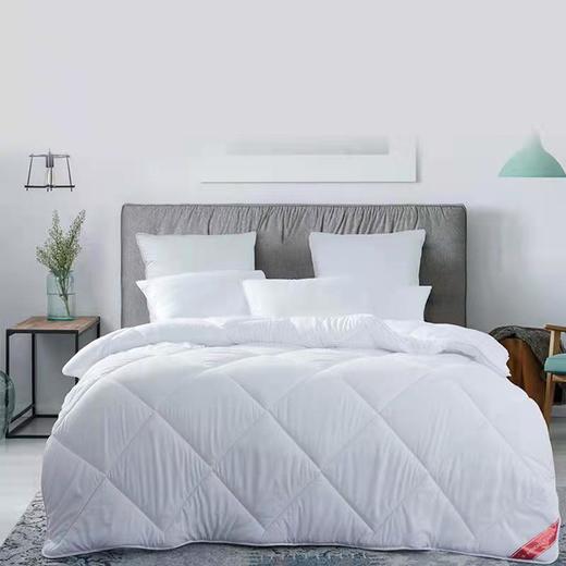 梦洁臻享十孔超柔被 200*230cm—rxs 商品图0