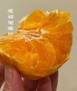 超多水份【现摘现发！新鲜直达】鲜甜爽口，皮薄厚果肉，清甜多汁，四川爱媛果冻橙新鲜橙子水果当季甜柑橘大果。rc 商品缩略图7