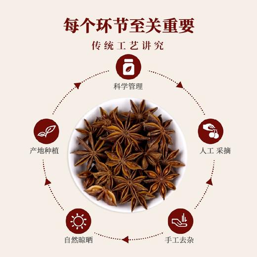 蜀渝天香八角30g 商品图1