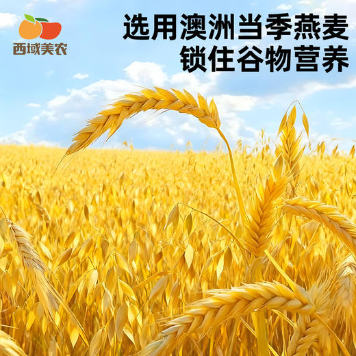 西域美农 五黑/五红谷物燕麦片 醇香软糯 有嚼劲  600g/罐  顺丰发货 商品图2