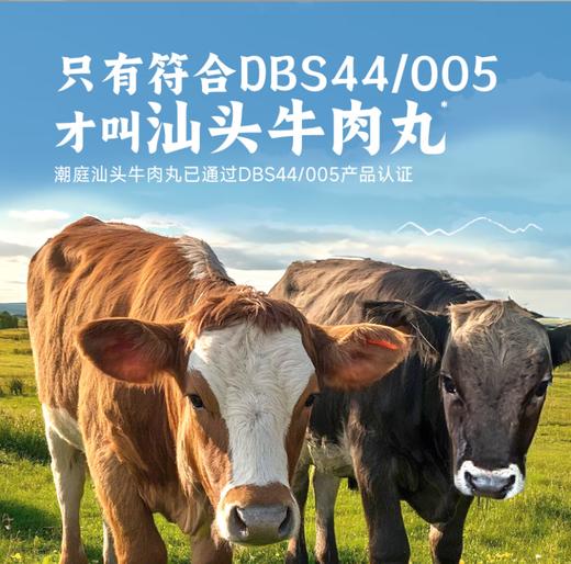 潮庭正宗潮汕牛肉丸、牛筋丸肉含量≥90% ，兼顾美味与健康 商品图1