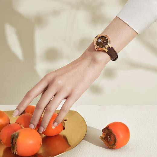 【新品】飞亚达倾城系列机械女表LA865022.PKK 商品图3