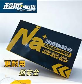 【美点专享】72V7A 钠电池专用快充充电器 新国标头