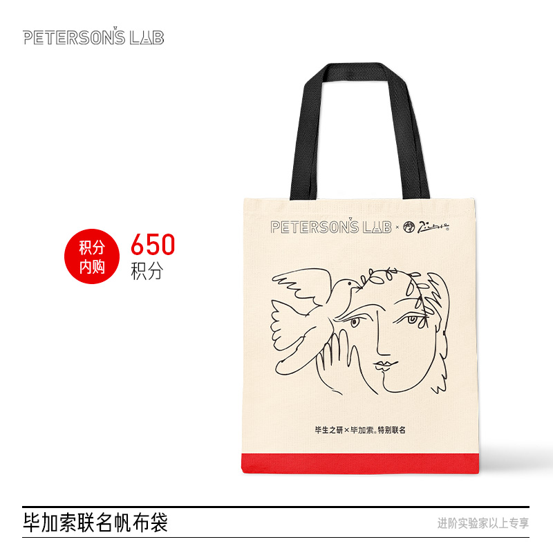 毕加索帆布袋