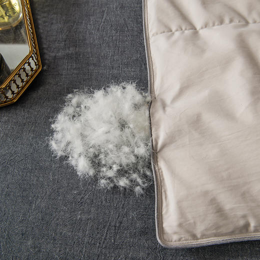 绒友 轻眠鹅绒春秋被 商品图9