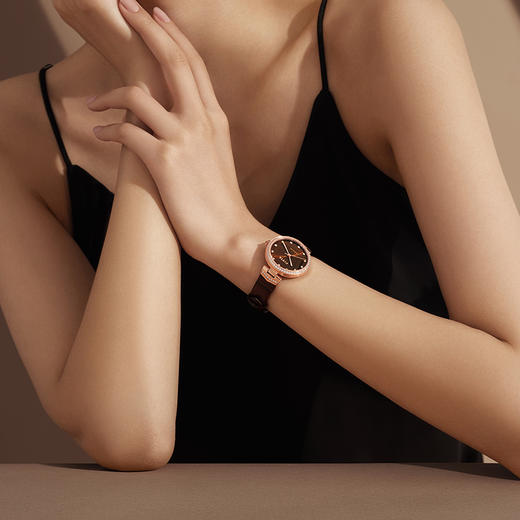 飞亚达心弦系列机械女表LA869015.PKKH 商品图2