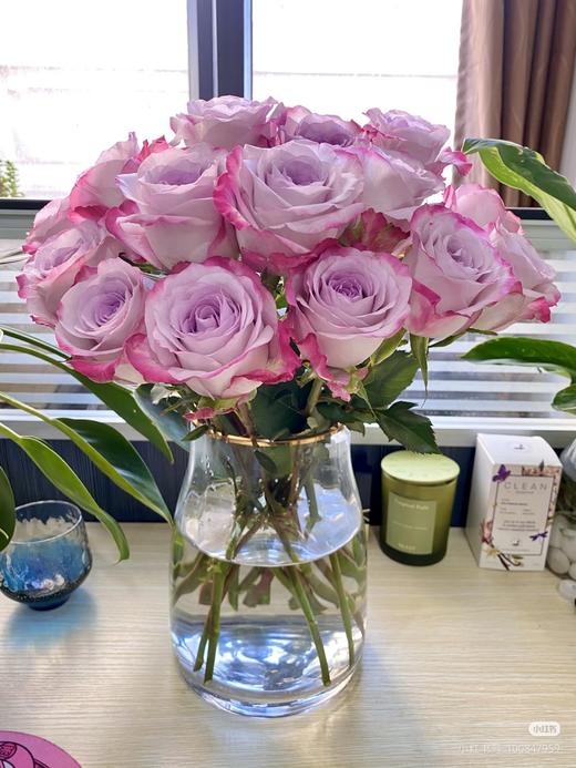 气场紫玫瑰 商品图1