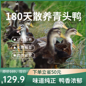 生态青头鸭（净鸭不含内脏） | 禾园