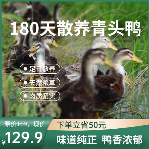 生态青头鸭（净鸭不含内脏） | 禾园 商品图0