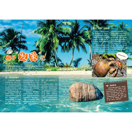 《博物》 2026年12期征订  商品图8