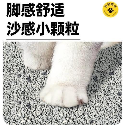 艾尔钠基矿石膨润土猫沙4.5kg 商品图2