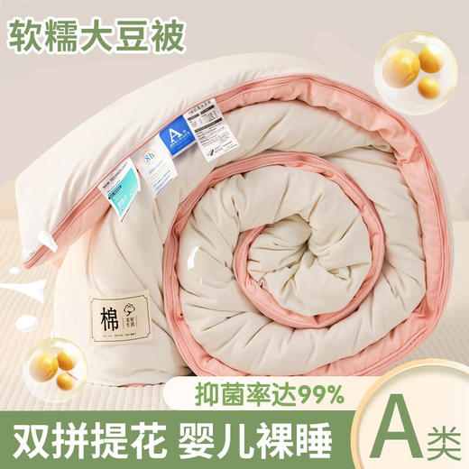 【抗菌除螨！原棉大豆被！】A类母婴抗菌原棉大豆纤维被子 加厚保暖被冬被芯 学生春秋棉被 商品图10
