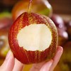 新鲜水果 新疆彩虹梨 8.5元/斤  2斤起售（多退少补） 商品缩略图1