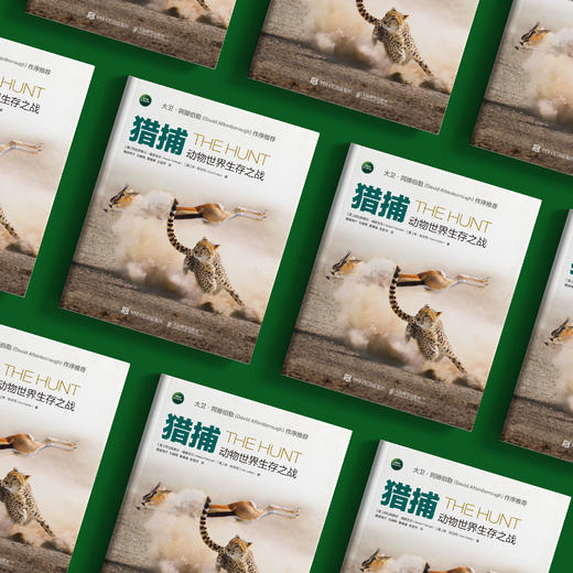 《猎捕：动物世界生存之战》 商品图2