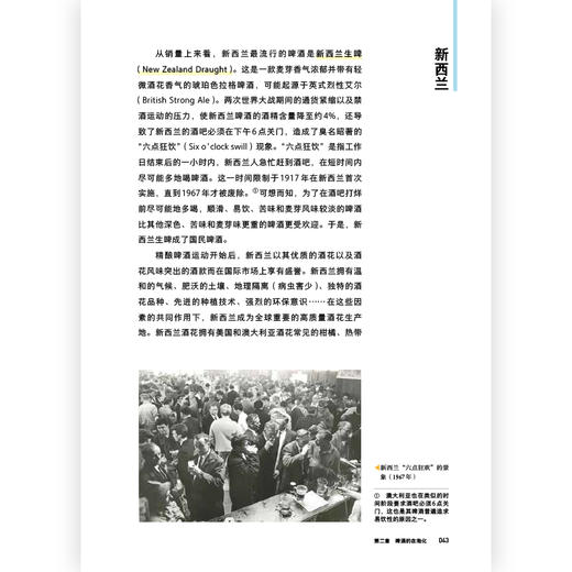 了不起的中国精酿 精酿媒体人天宸走访各地酿酒师 精酿啤酒指南 商品图3