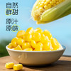 【定丰农场】  内蒙特产鲜食甜糯玉米2kg/盒（十根装） 软糯香甜 真空锁鲜 健康粗粮 商品缩略图3