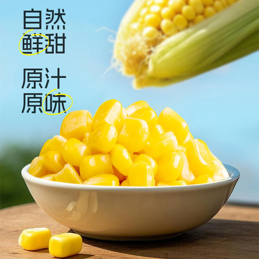 【定丰农场】  内蒙特产鲜食甜糯玉米2kg/盒（十根装） 软糯香甜 真空锁鲜 健康粗粮 商品图3