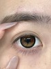 Serltyca半年抛美瞳 蜂蜜罐 14.5mm 商品缩略图0