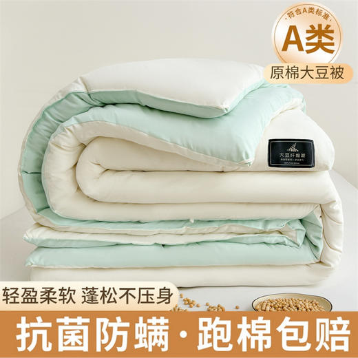 【抗菌除螨！原棉大豆被！】A类母婴抗菌原棉大豆纤维被子 加厚保暖被冬被芯 学生春秋棉被 商品图5