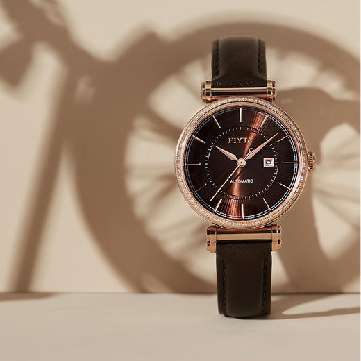 飞亚达印系列女表机械表LA850001.PKKD 商品图1