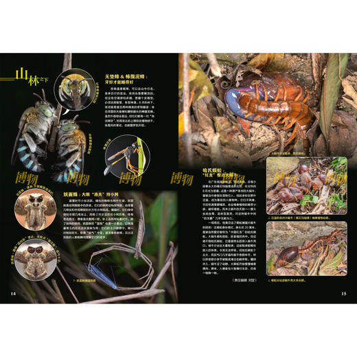 《博物》 2026年12期征订  商品图5