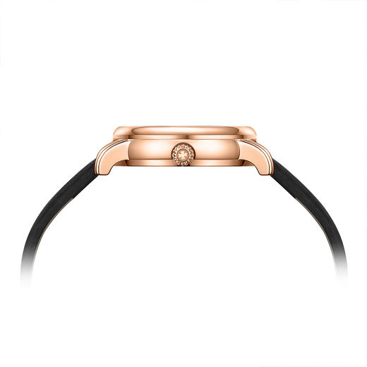 飞亚达四叶草系列机械女表DLA862003.PWB 商品图7