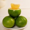 现摘现发,柚子瀑布！【青皮葡萄柚】能徒手榨果汁🍹果肉细嫩清甜，风味浓郁！爆汁爽口超过瘾 商品缩略图3